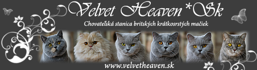 Velvet Heaven*Sk